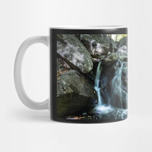 Trout Brook Falls Mug